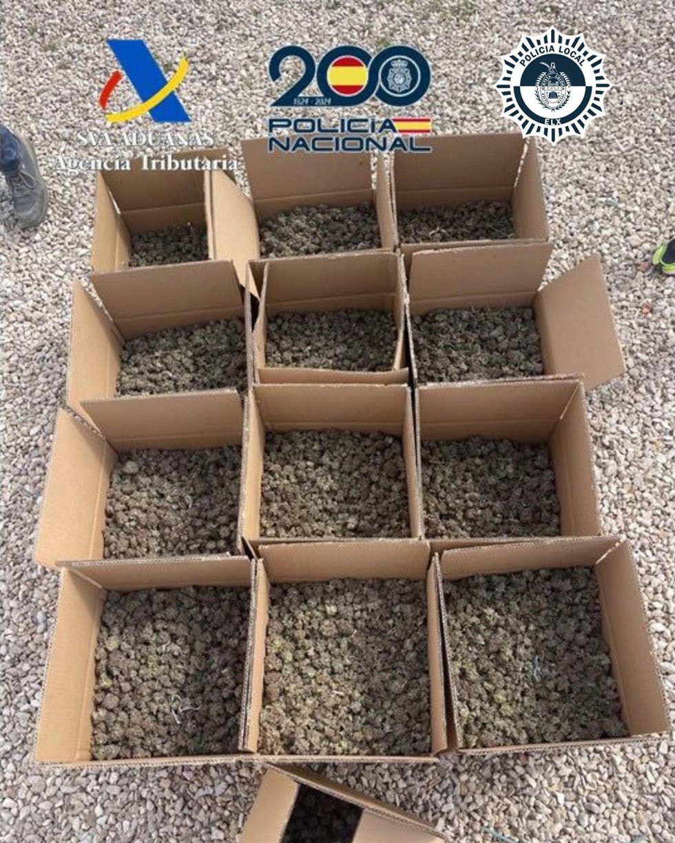 Desmantelado un importante cultivo indoor de marihuana en Elche