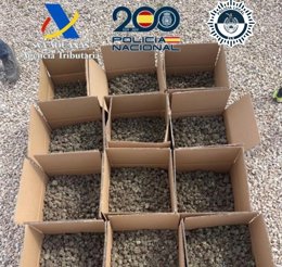 notibrasil política