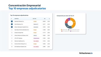 Concentración empresarial, top 10 empresas ajudicatarias