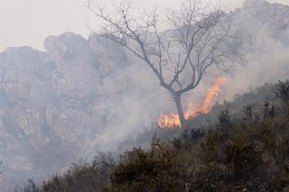 Vista del incendio activo en la Sierra de Aramo, a 7 de marzo de 2026, en Proaza, Asturias (España). 