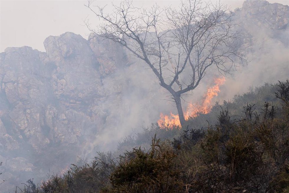 Vista del incendio activo en la Sierra de Aramo, a 7 de marzo de 2026, en Proaza, Asturias (España).