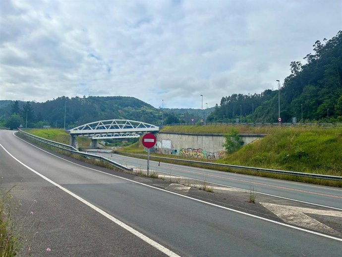 Archivo - Corredor del Nalón. Vía rápida que conecta los concejos del Valle del Nalón con Oviedo y con Gijón a través de la Autovía Minera. Carretera AS-117.