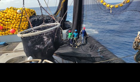 EpAgro - Unión Europea