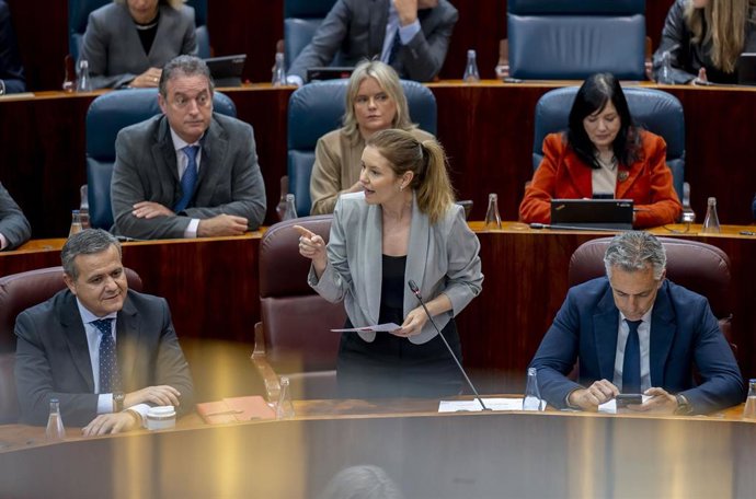 La consejera de Familia, Juventud y Asuntos Sociales de la Comunidad de Madrid, Ana Dávila (c), durante el Pleno de la Asamblea de Madrid, a 9 de abril de 2026, en Madrid (España). La Asamblea de Madrid aprueba hoy con la mayoría absoluta del PP y por lec