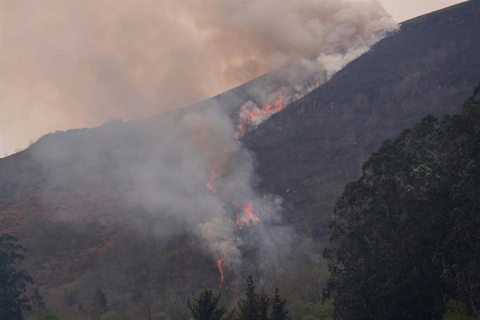 Imagen de archivo de un incendio forestal