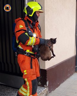 Un bombero del Consorcio Provincial de Valencia rescata a un gato durante una intervención por el incendio de una vivienda en Alzira (Valencia)