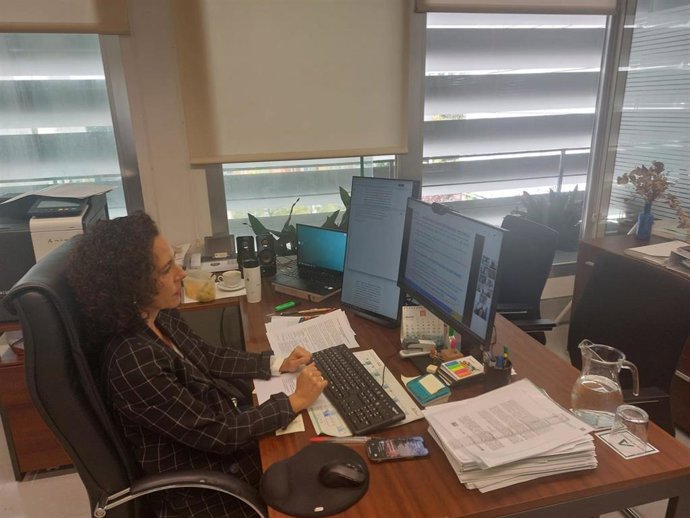 La directora general de Planificación de la Investigación de la Consejería de Universidad, Investigación e Innovación, Loreto del Valle.