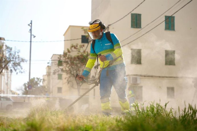 Archivo - El Ayuntamiento de Palma aumenta en un 80% las actuaciones de eliminación de malas hierbas en los últimos tres años.