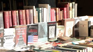 Mercadillo de libros 