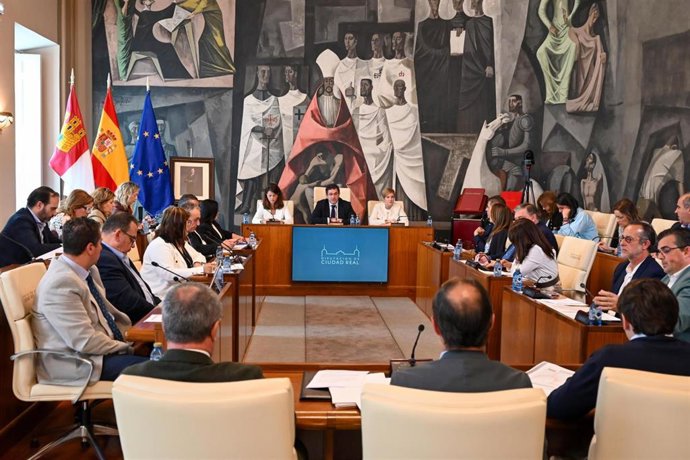 Pleno en la Diputación.