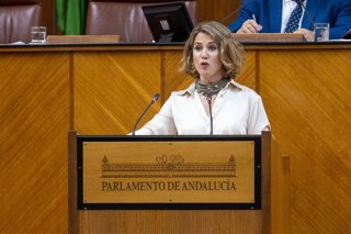Archivo - La diputada Ana Maestre durante una intervención en el Parlamento. Imagen de archivo. 