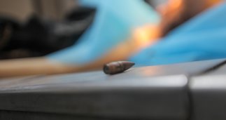 notibrasil política