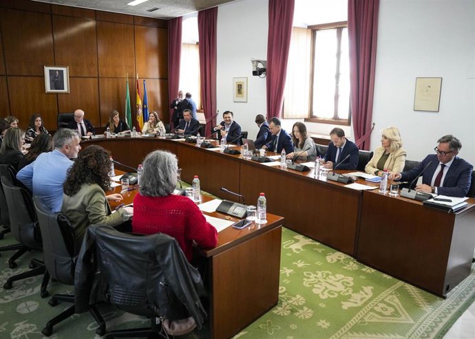 Reunión de la Diputación Permanente del Parlamento andaluz. (Foto de archivo).