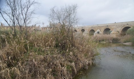 Es Andalucía - Córdoba