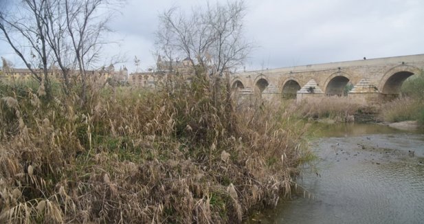Es Andalucía - Córdoba