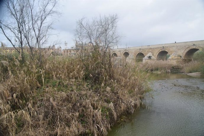 Archivo - Los Sotos de la Albolafia. (Imagen de archivo)