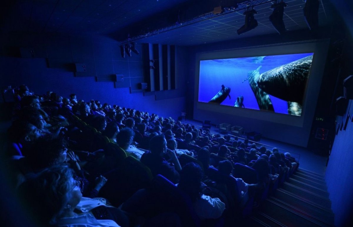 El documental Nika, el calderón tropical finaliza su gira mundial con un lleno en Las Palmas de Gran Canaria