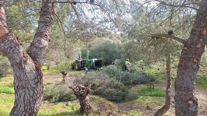 El Consell de Mallorca impulsa una campaña para prevenir los incendios en los arcenes de las autopistas