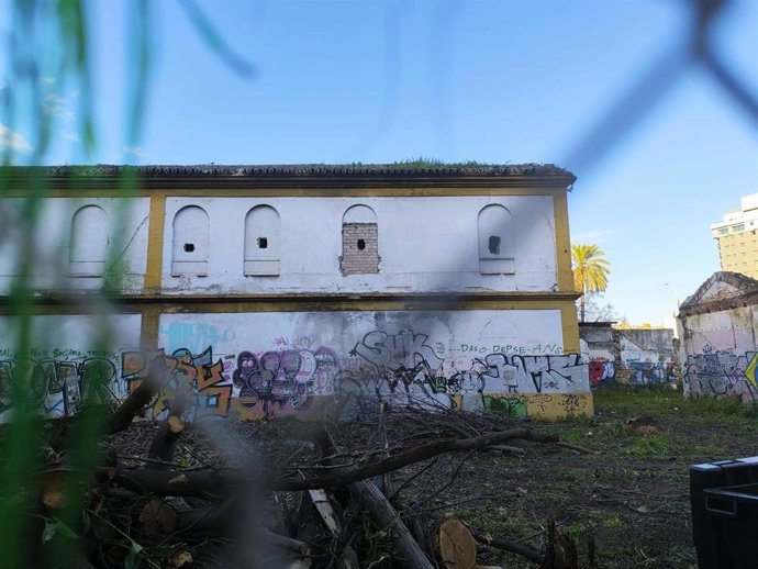 Parcela pública cedida para un proyecto ambiental en el barrio hispalense de San Bernardo.