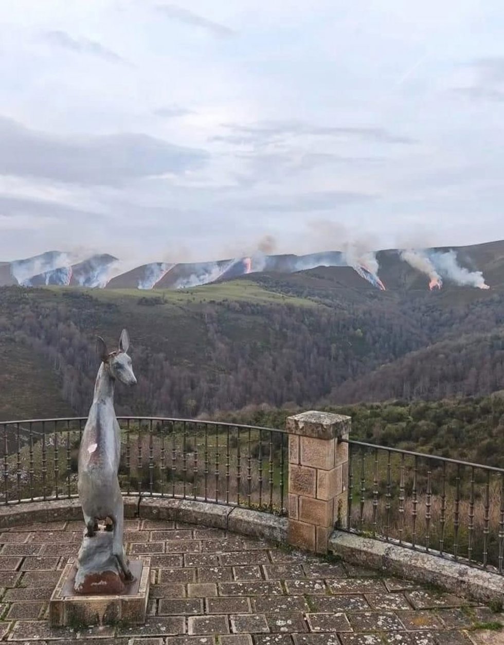 Incendio en Vega de Liébana
