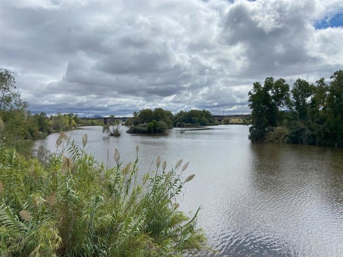 Archivo - Cielos nublados en Mérida. Imagen de archivo