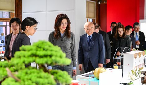 notibrasil política