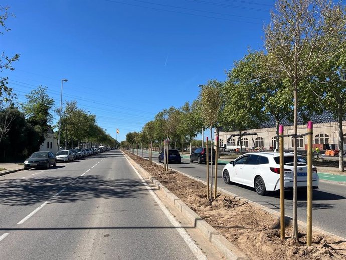 Reajardinamiento de la mediana de San Jerónimo con la plantación de 81 árboles.