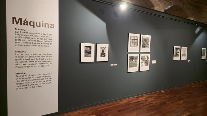 Imagen de la muestra