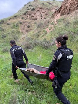 La Policía de Alcalá de Henares rescata a un corzo herido en el parque de Los Cerros