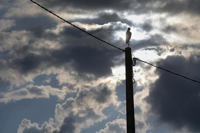 Archivo - Cielo nublado con una cigüeña blanca posada en su nido, en un poste.