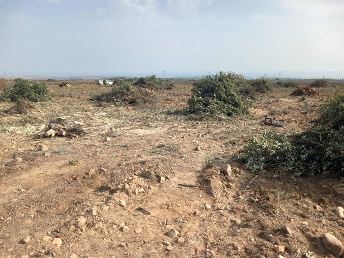 Zona arrasada en La Rioja por maquinaria pesada