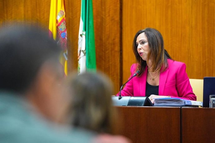 Archivo - La consejera de Fomento, Articulación del Territorio y Vivienda, Rocío Díaz, en una comparecencia en comisión parlamentaria. (Foto de archivo).