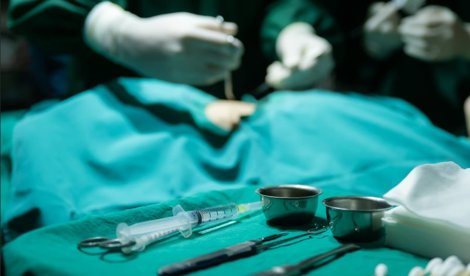 notibrasil sociedade