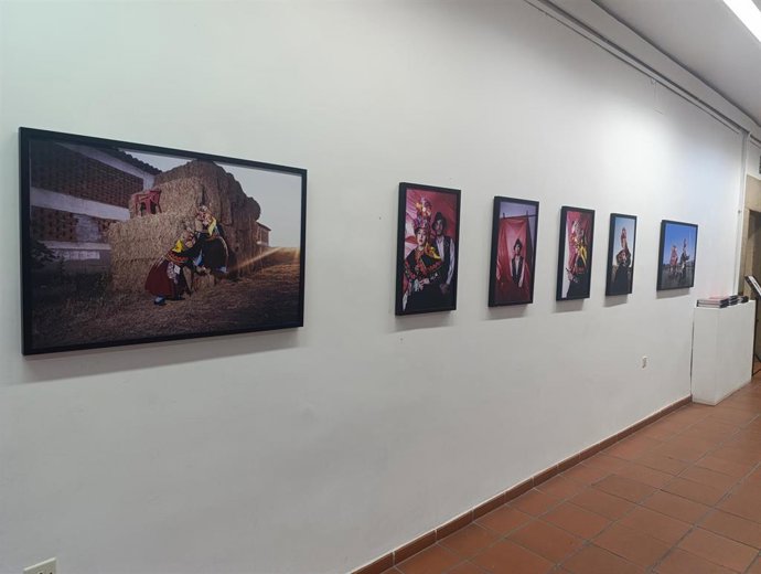 La exposición 'Yo quiero un novio aceitunero' de Lucía Herrero llega a Plasencia