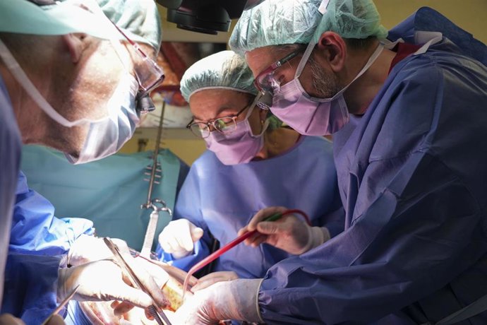 Archivo - Imagen de la operación para extirpar por primera vez en España dos cánceres de páncreas con doble by-pass