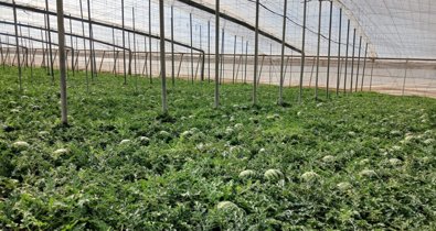 Es  Andalucía - Almería