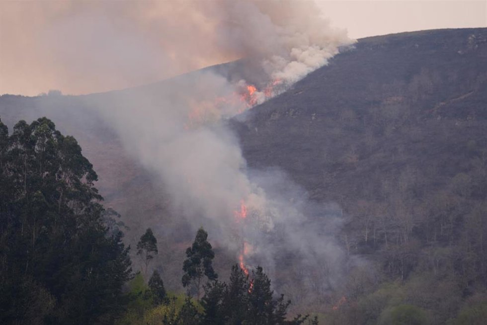 Incendio forestal