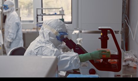 notibrasil sociedade