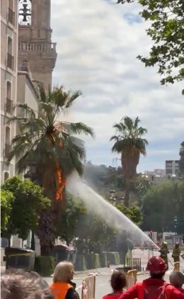Vídeo de la noticia