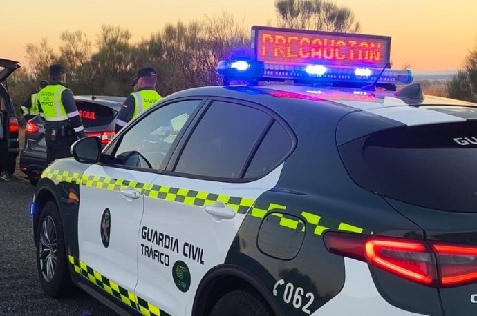 Intervención de la Guardia Civil en carretera.