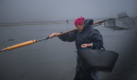 Pesca Galicia