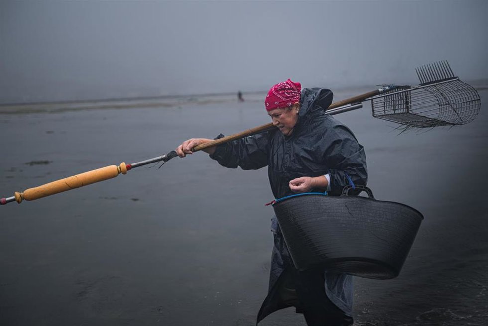 Archivo - Las mariscadoras de la Cofradía de San Telmo trabajan en la zona del Ameixal, a 4 de diciembre de 2025, en Pontevedra, Galicia (España). Las mariscadoras han arrancado hoy la campaña de Navidad después de haberse visto retrasada por la toxina am