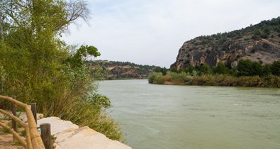 EpAgro - Agricultura