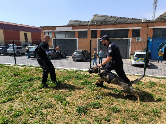 El nuevo espacio, situado en el recinto de Las Cañas de Pescar de Maracena, ha sido acondicionado para responder a las necesidades diarias de los animales y facilitar al mismo tiempo el trabajo que desarrollan junto a los agentes municipales de seguridad