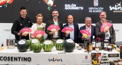 Diputación de Almería