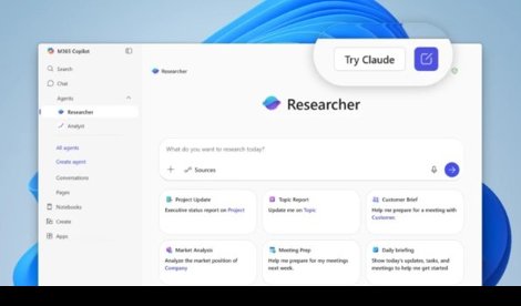 notibrasil sociedade
