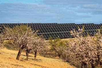 Placas solares de Sonnedix