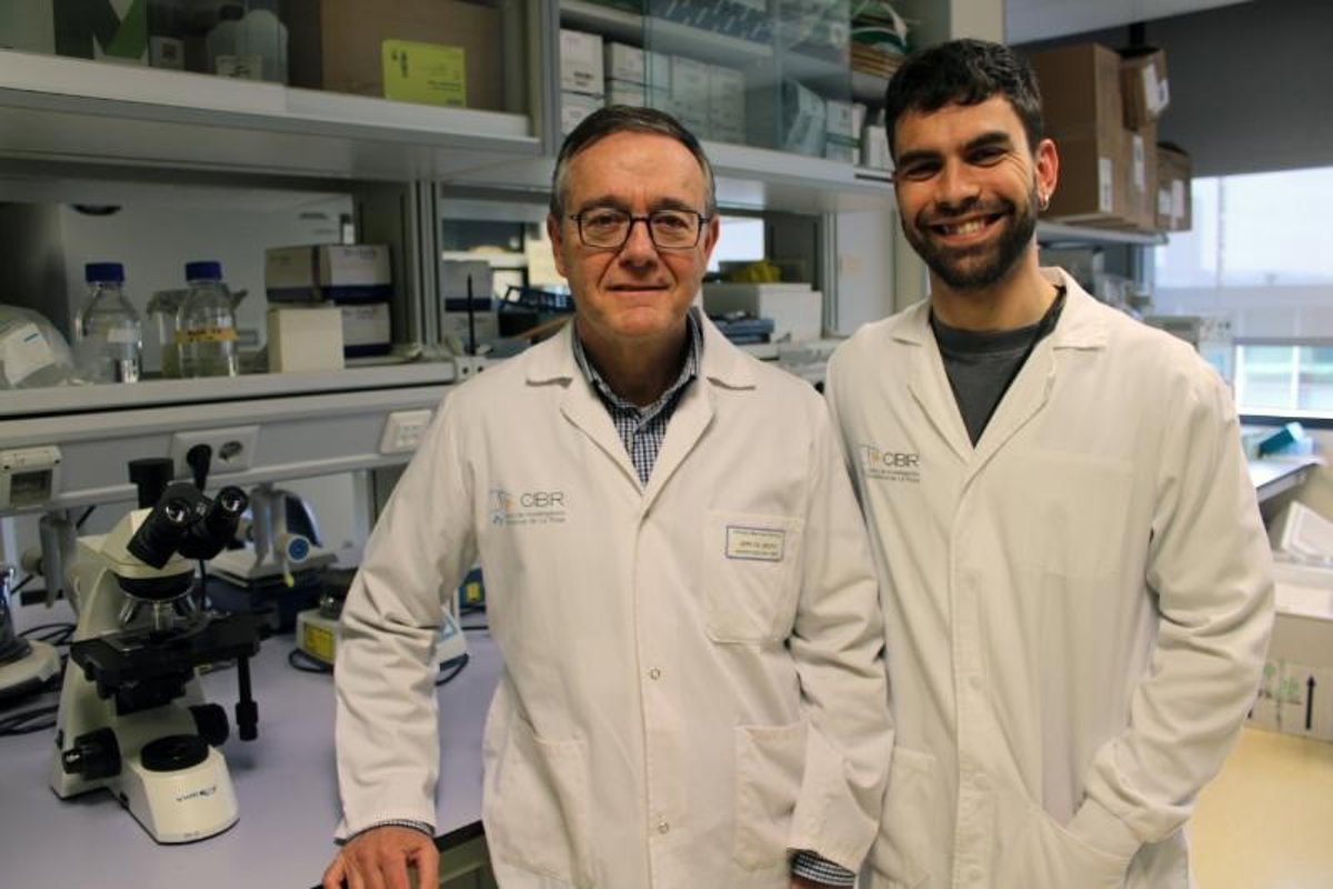 Identifican el mecanismo de acción de una molécula implicada en el desarrollo y tratamiento del cáncer