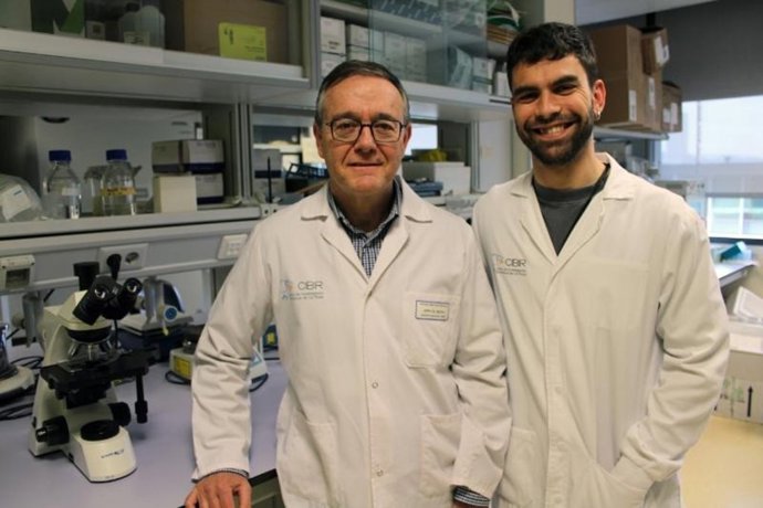 Identifican el mecanismo de acción de una molécula implicada en el desarrollo y tratamiento del cáncer