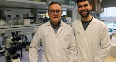 Investigación